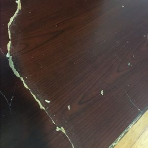 Meet your Posher, Tommy